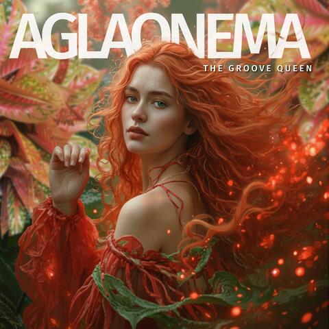 Aglaonema The Groove Queen