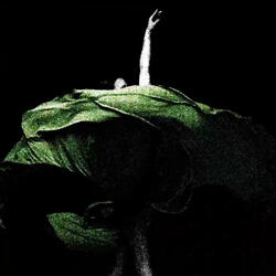 U Must Love When I Cry (feat. jaime!)