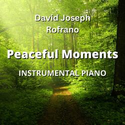 Peaceful Moments (Instrumental Piano)