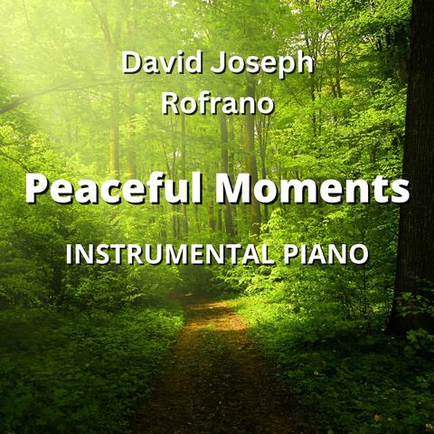 Peaceful Moments (Instrumental Piano)