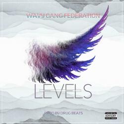 Levels