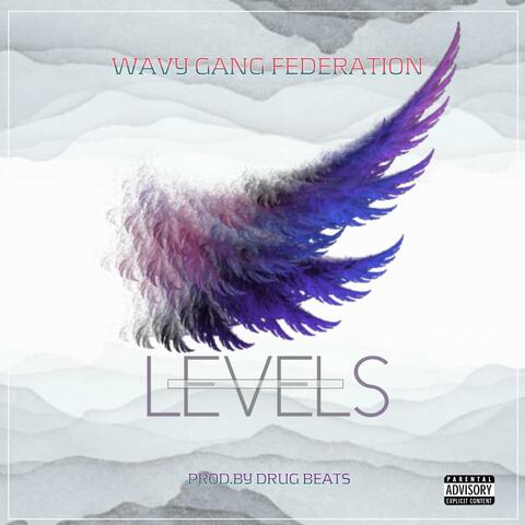 Levels