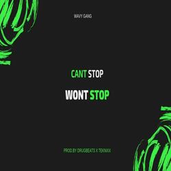 Can't Stop Won't Stop