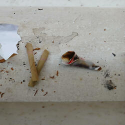 Voices (Amber heard it) (Radio Edit)