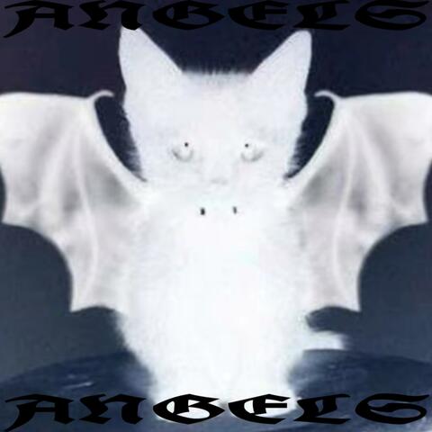 ANGELS
