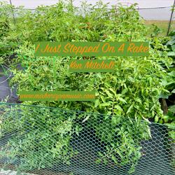 I Just Stepped On A Rake