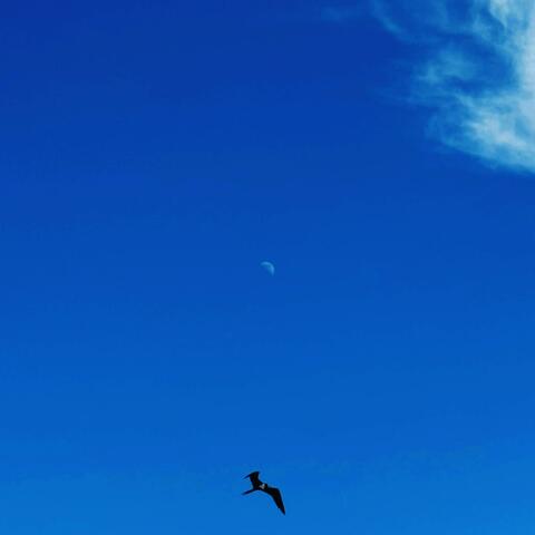 Memoir of an Indie Prince