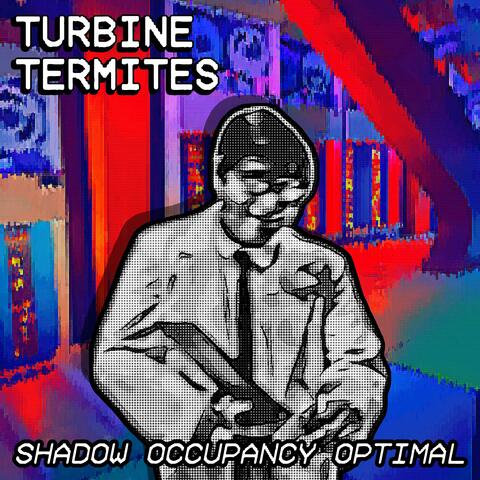 Shadow Occupancy Optimal