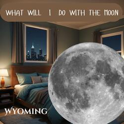 What Will I Do With The Moon