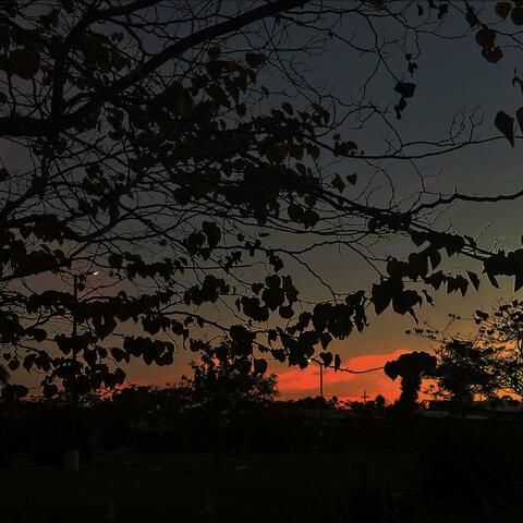 DOWNFALLHILL III