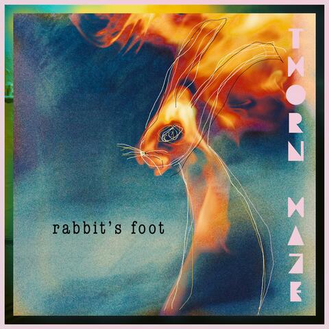 Rabbit's Foot