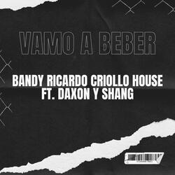Vamo a Beber (feat. Bandy & Ricardo Criollo House)