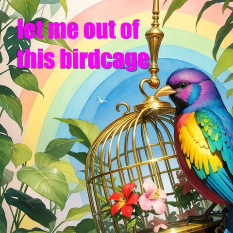 Let Me Out of This Birdcage
