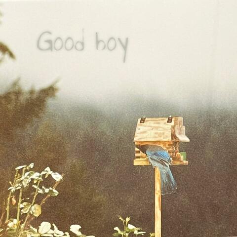 Good boy