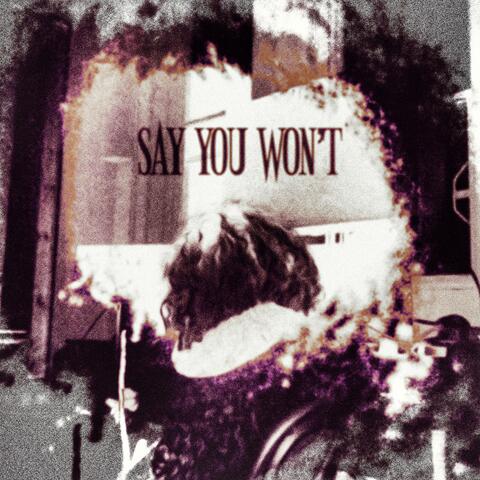SAY YOU WON'T