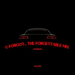 U Forgot... The Forgettable Mix (feat. DAR!US)