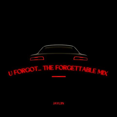 U Forgot... The Forgettable Mix (feat. DAR!US)