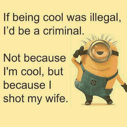 I SHOT MY WIFE