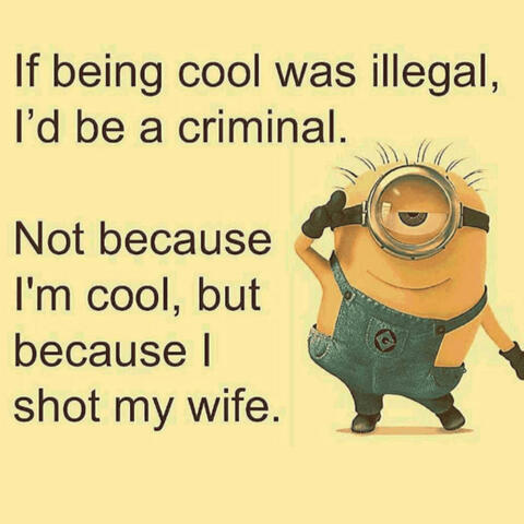 I SHOT MY WIFE