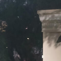 Ray from around the way