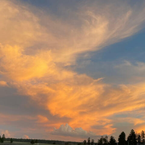 Horizon