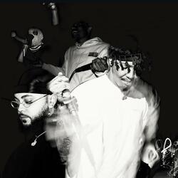 REAL OG P. PHELONIES