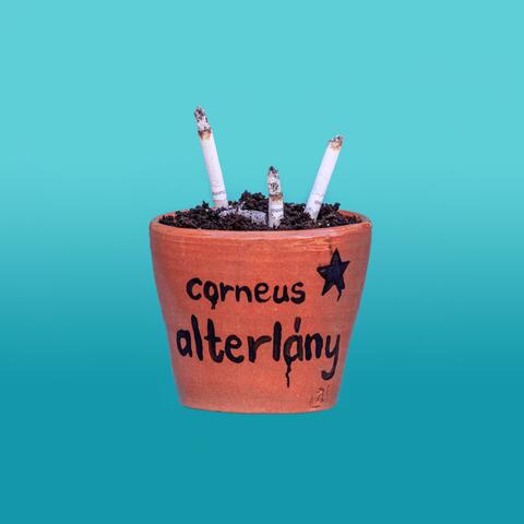 alterlány