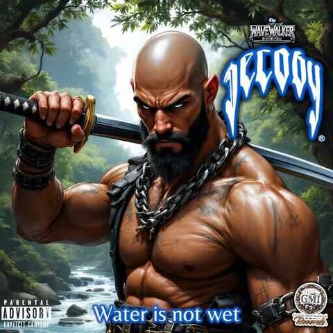 Water is not wet