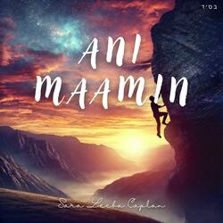 Ani Maamin (Violin Instrumental)