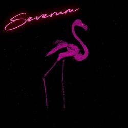 Future Flamingo