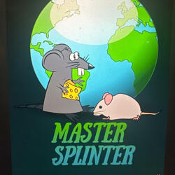 Master splinter (feat. Fn rell)