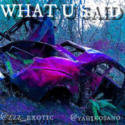 WHAT U SAID (feat. marric)