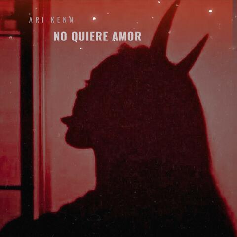No Quiere Amor