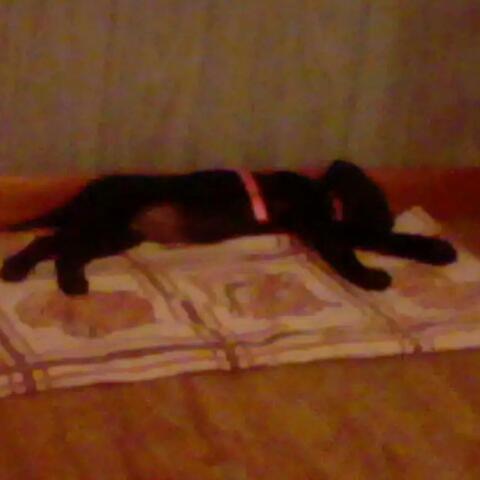 Burning Bridges / the transition (feat. Mr. Sound)