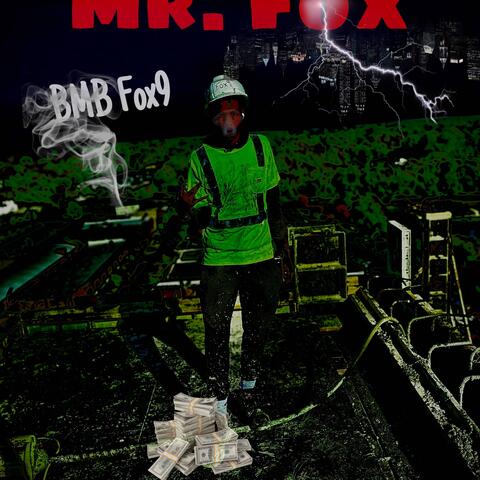 Mr. Fox