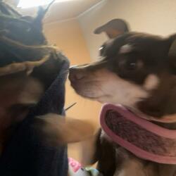 i choose violence (feat. needmysleep)