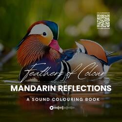 Feathers of Colour: Mandarin Reflections (A Sound Colouring Book)