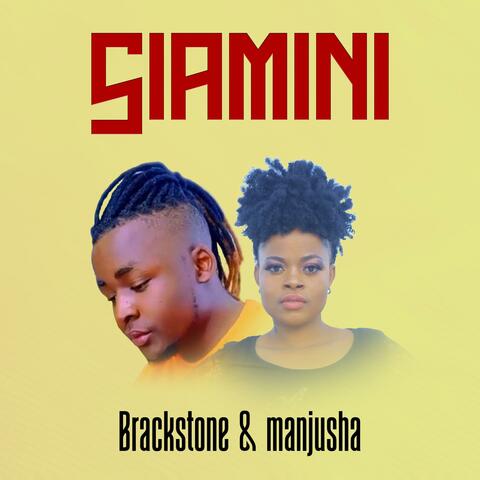 SIAMINI