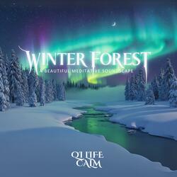 WINTER FOREST | Enchanting Ethereal Ambient Music - A Beautiful Meditative Fantasy Soundscape