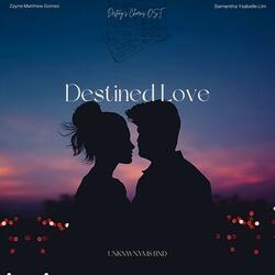 Destined Love (feat. SKY Lim)