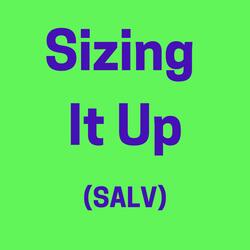 Size Doesn't Matter (feat. SALV)