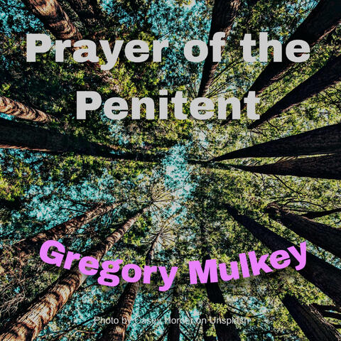 Prayer of the Penitent