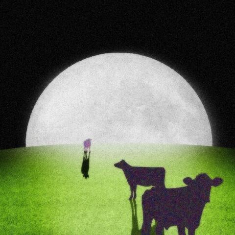 Electric Sheep