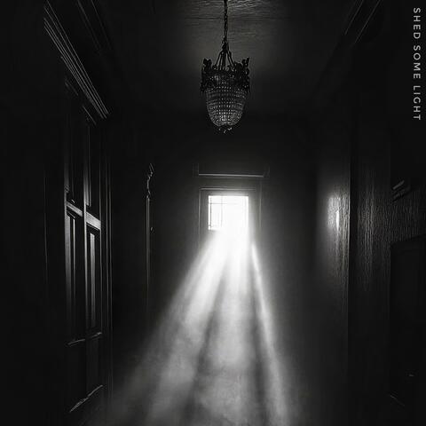 Shed Some Light