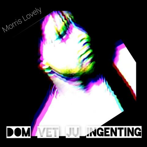 DOM VET JU INGENTING