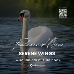 Feathers of Colour: Serene Wings (A Sound Colouring Book)