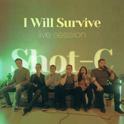 I Will Survive (Live)