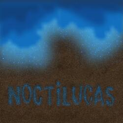 Noctilucas