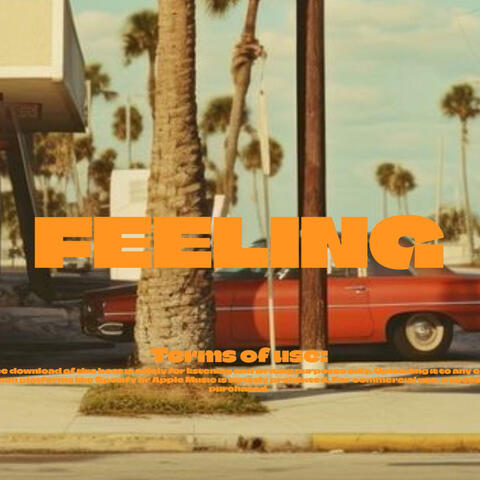 Afro Guitar x Afro Beat instrumental 2025 "FEELING"