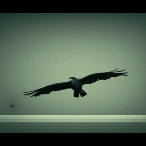 Ptaszęta (feat. NINJA SPK & Rapum)